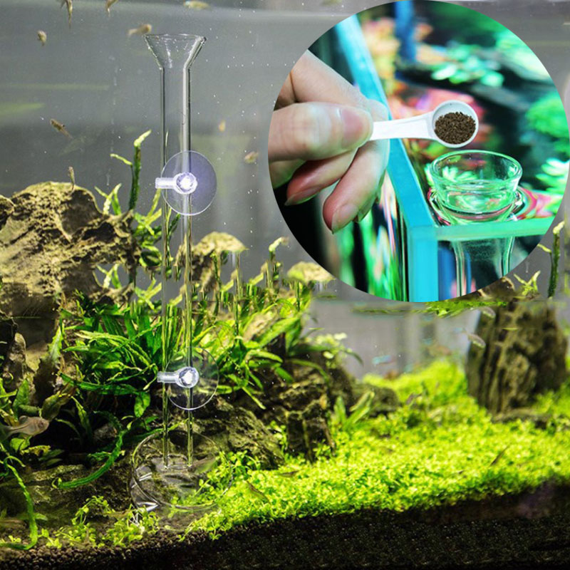 Glass Aquarium Feeder Tube Dis - Aquarium Fish Price avis et prix