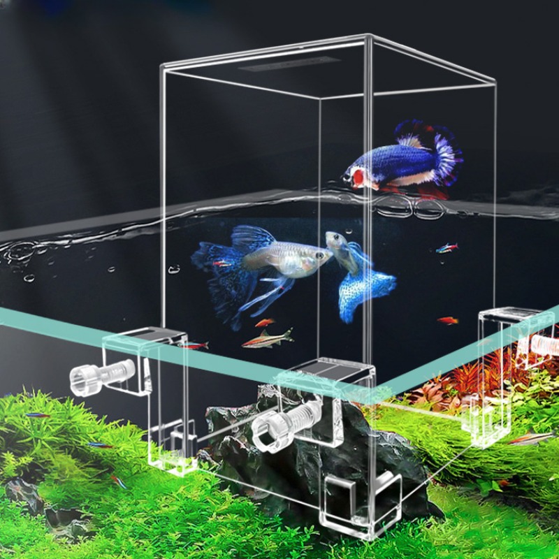 Creative Aquarium Tanks Negati - Aquarium Fish In Bowl avis et prix