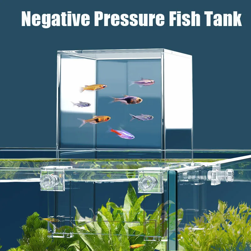 Creative Aquarium Tanks Negati - Aquarium Fish In Bowl avis et prix