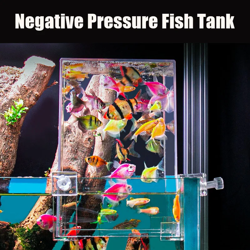 Creative Aquarium Tanks Negati - Aquarium Fish In Bowl avis et prix