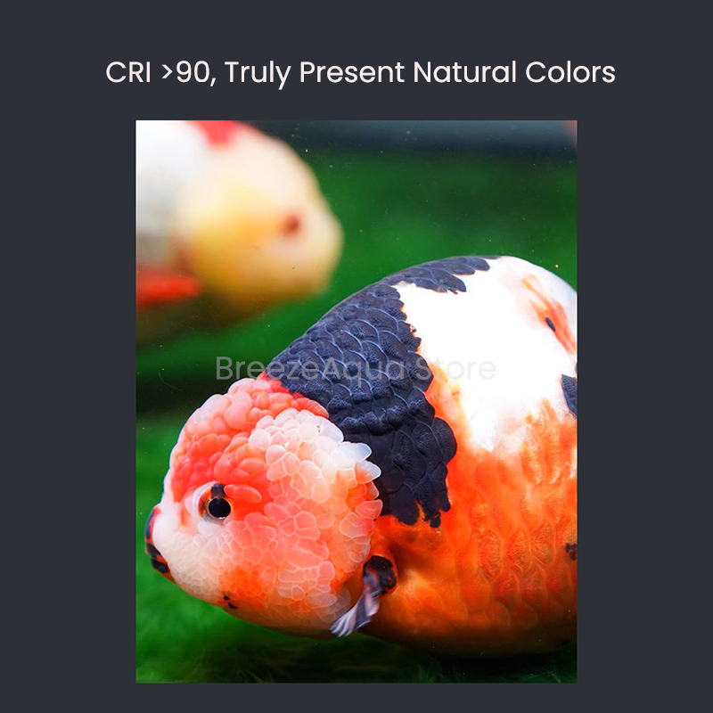 MAYIN Super Colour 100W Freshw - Aquarium Goldfish avis et prix