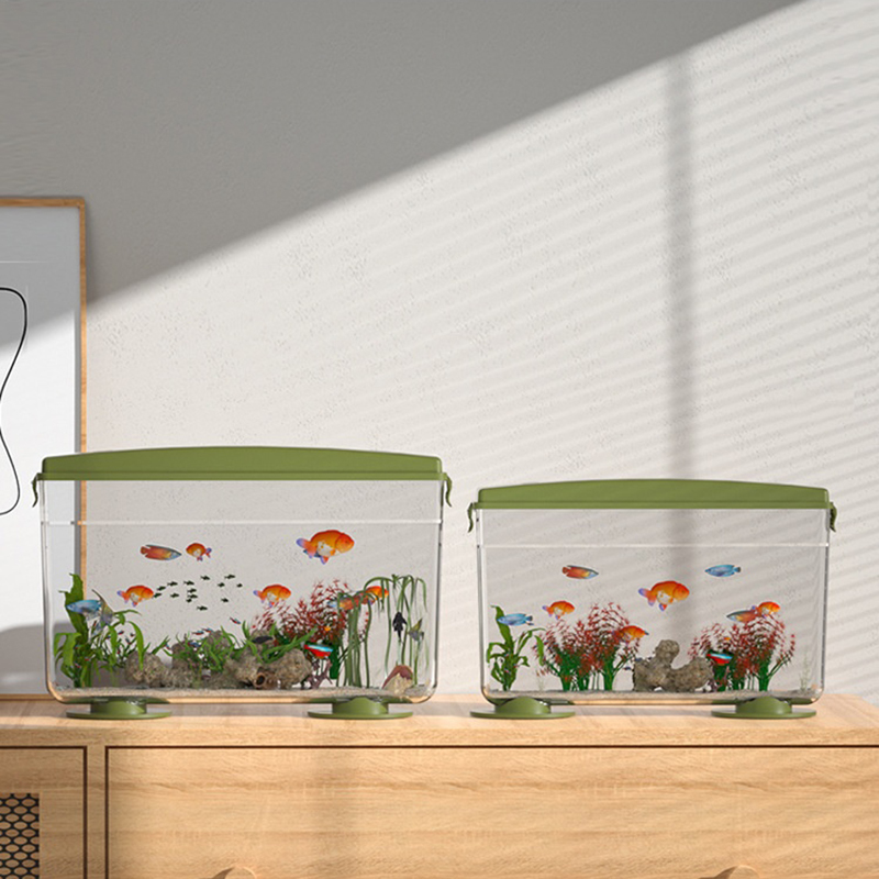 Small Fish Shrimps Turtle Tank - Aquarium Fish In Bowl avis et prix