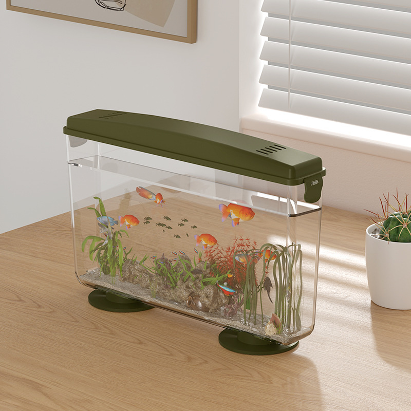 Small Fish Shrimps Turtle Tank - Aquarium Fish In Bowl avis et prix