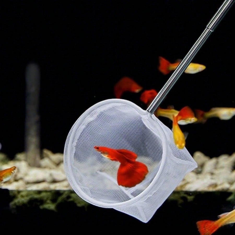 Aquarium Fish Net - a Retracta - Aquarium Fish Price avis et prix