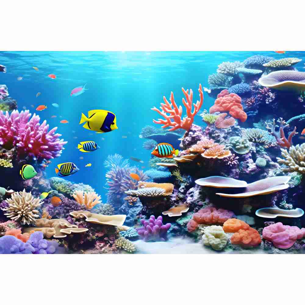 Underwater Ocean World Photogr - Aquarium Fish World avis et prix