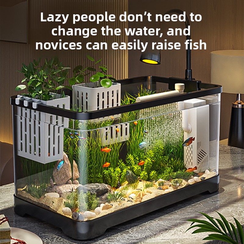 2026 All-in-One Aquarium Filte - All Fish In Aquarium avis et prix