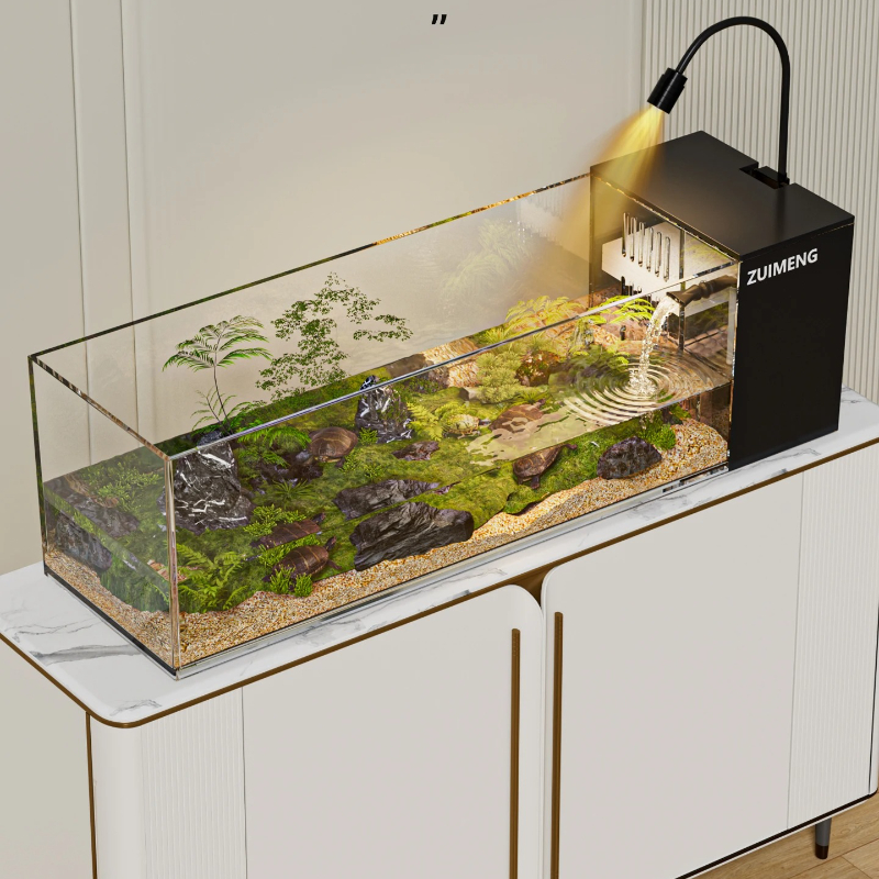 ‌Turtle Aquarium Tank - Fish & - Aquarium Goldfish avis et prix