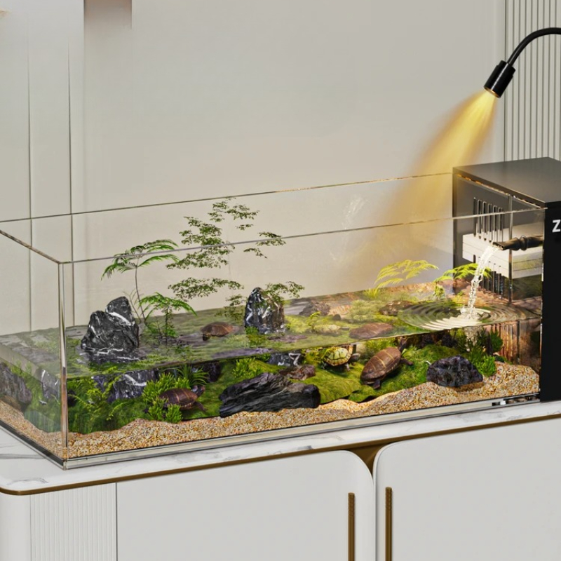 ‌Turtle Aquarium Tank - Fish & - Aquarium Goldfish avis et prix