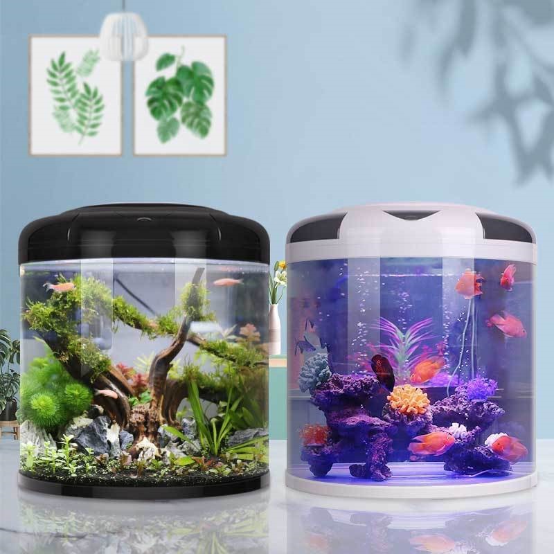Fish tank living room Semicirc - Aquarium Goldfish avis et prix