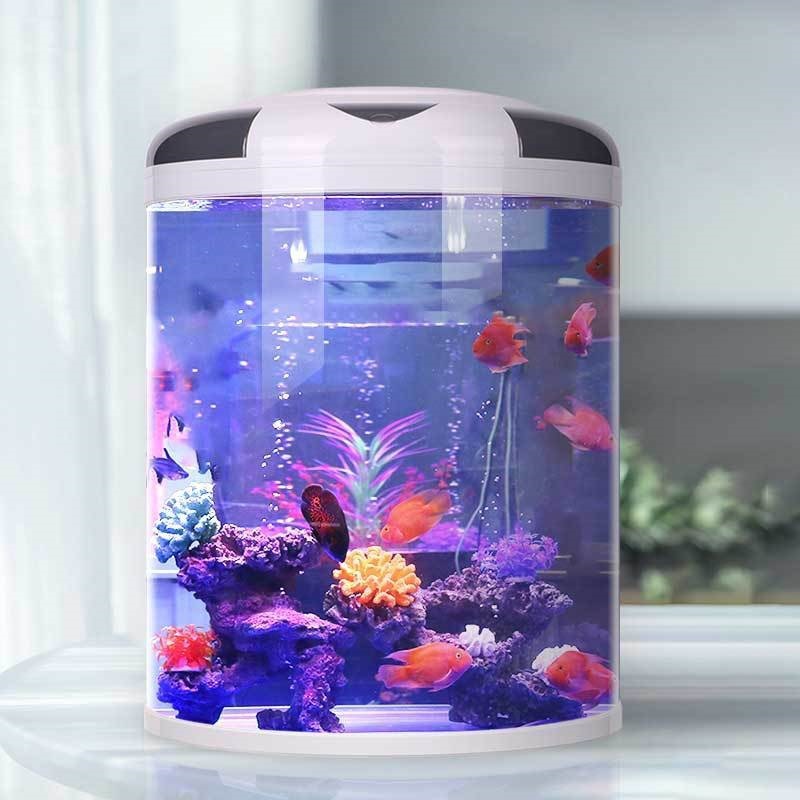 Fish tank living room Semicirc - Aquarium Goldfish avis et prix
