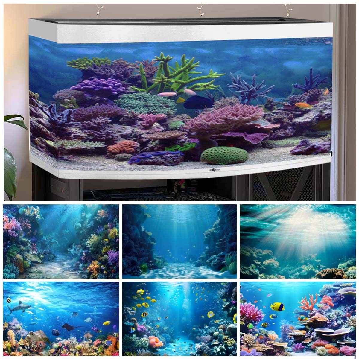 Underwater World Backgrounds f - Aquarium Fish World avis et prix