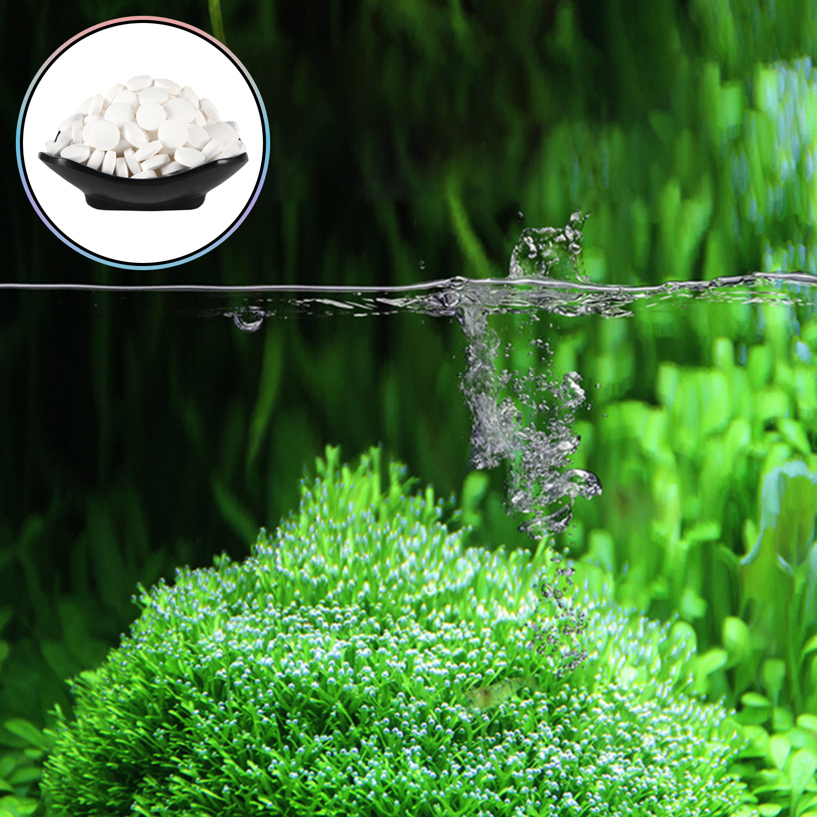 150 Tables Aquarium Algae Clea - Aquarium Fish Green avis et prix