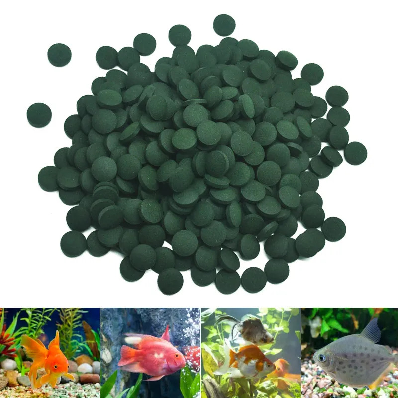 50-300Pcs High Purity Spirulin - Aquarium Fish Price avis et prix
