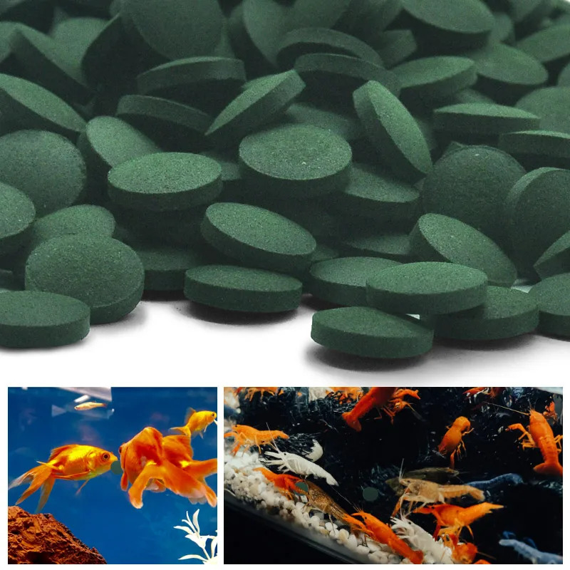 50-300Pcs High Purity Spirulin - Aquarium Fish Price avis et prix