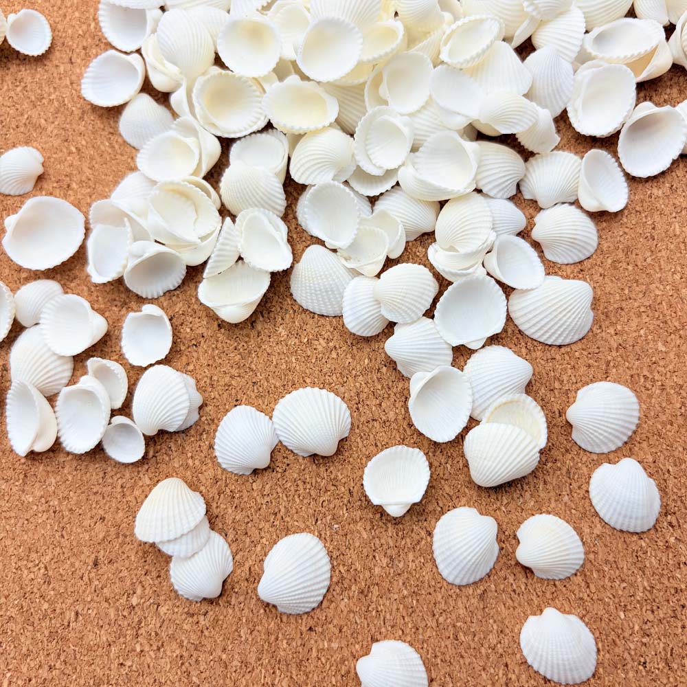 200pcs about 60g Tiny Sea Shel - Aquarium Fish Names avis et prix
