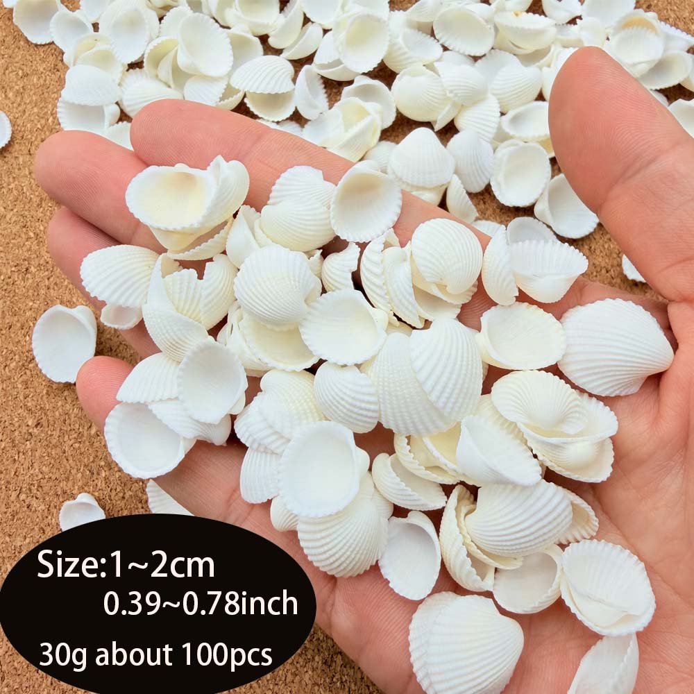200pcs about 60g Tiny Sea Shel - Aquarium Fish Names avis et prix
