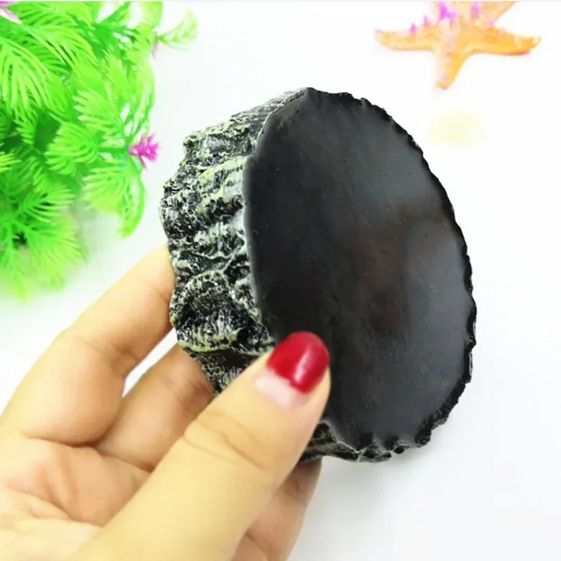 Pet Reptile Feeder Bowl Resin  - Aquarium Fish Price avis et prix