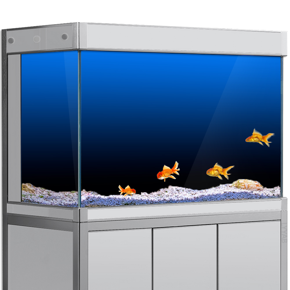 Fish Tank Background Sticker B - Aquarium Fish Green avis et prix
