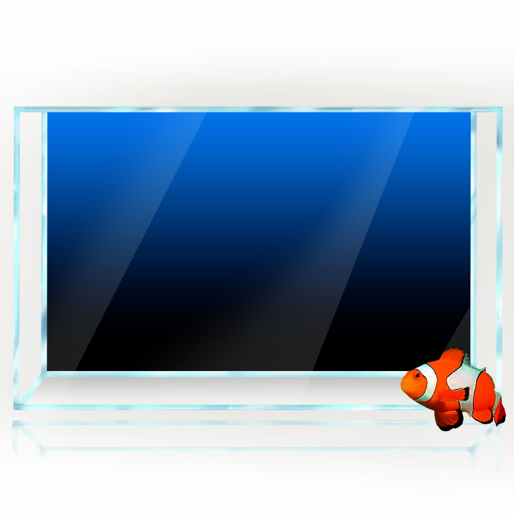 Fish Tank Background Sticker B - Aquarium Fish Green avis et prix