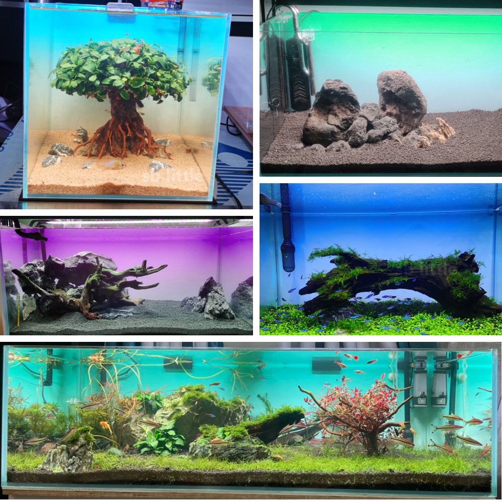 Fish Tank Background Sticker B - Aquarium Fish Green avis et prix