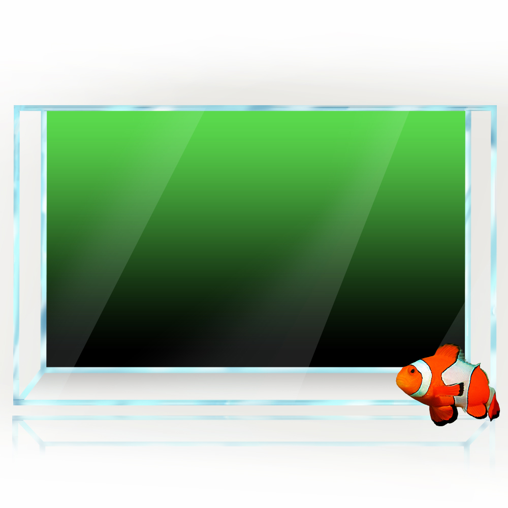 Fish Tank Background Sticker B - Aquarium Fish Green avis et prix