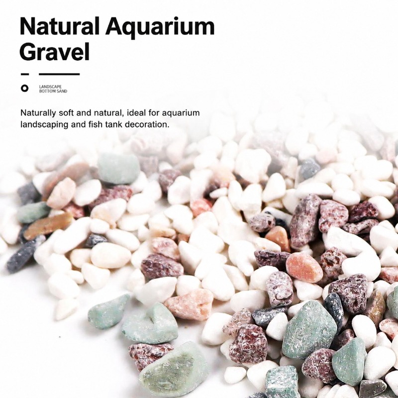 100ml Digital Automatic Fish F - Aquarium Fish Price avis et prix