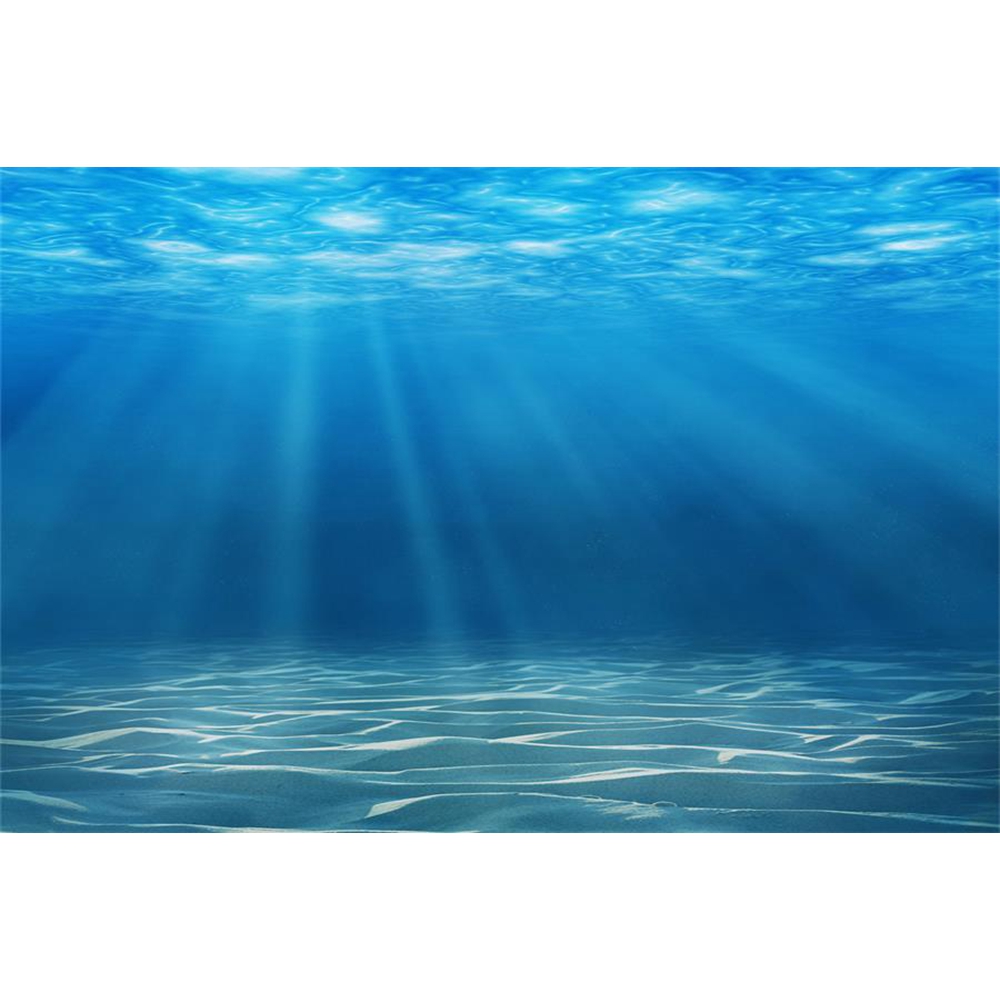 Underwater World Seabed Photog - Aquarium Fish World avis et prix