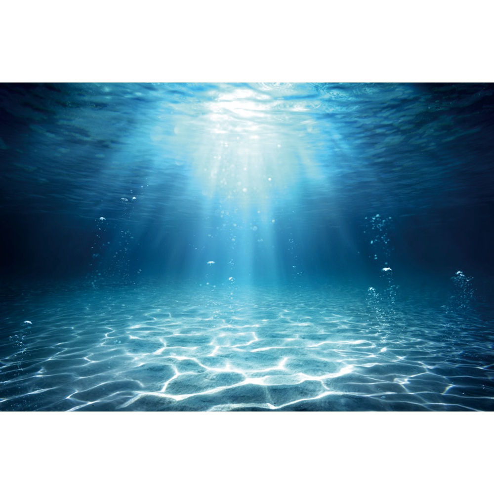 Underwater World Seabed Photog - Aquarium Fish World avis et prix