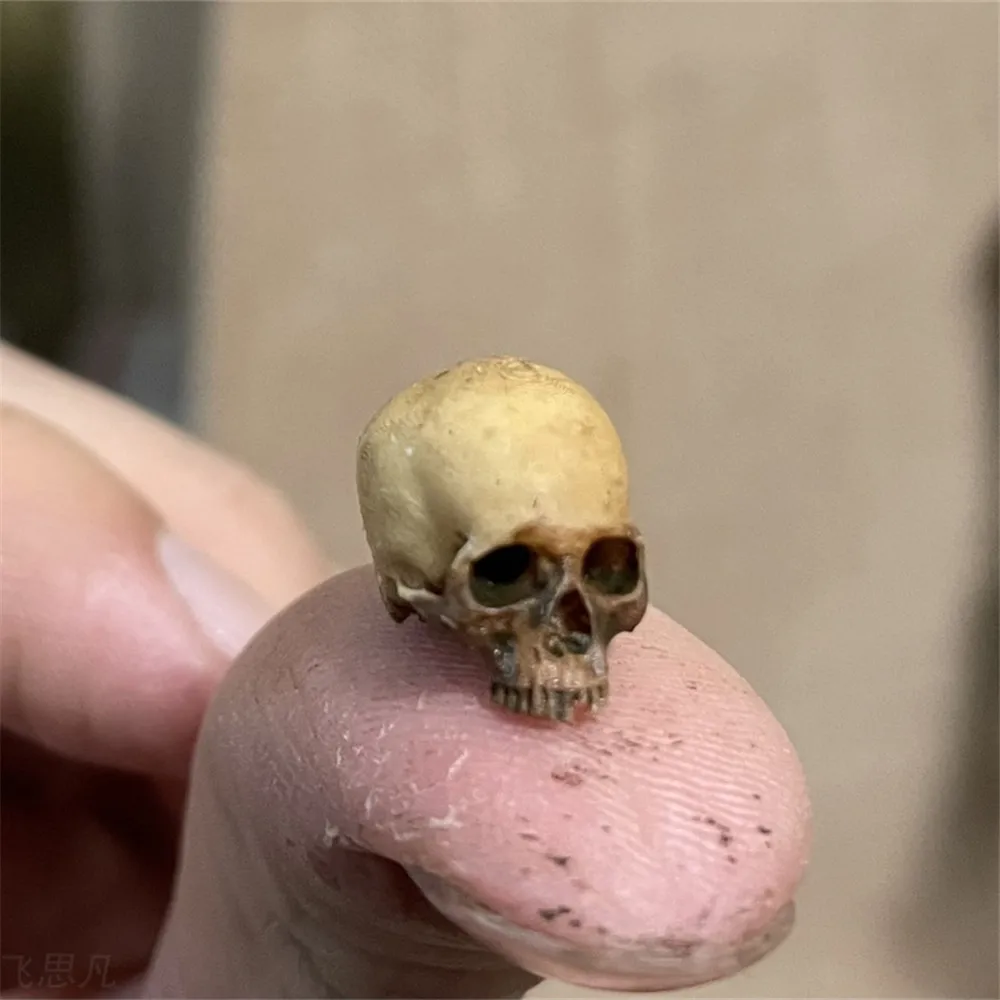 Mini Skull High Quality Miniat - Aquarium Fish Names avis et prix