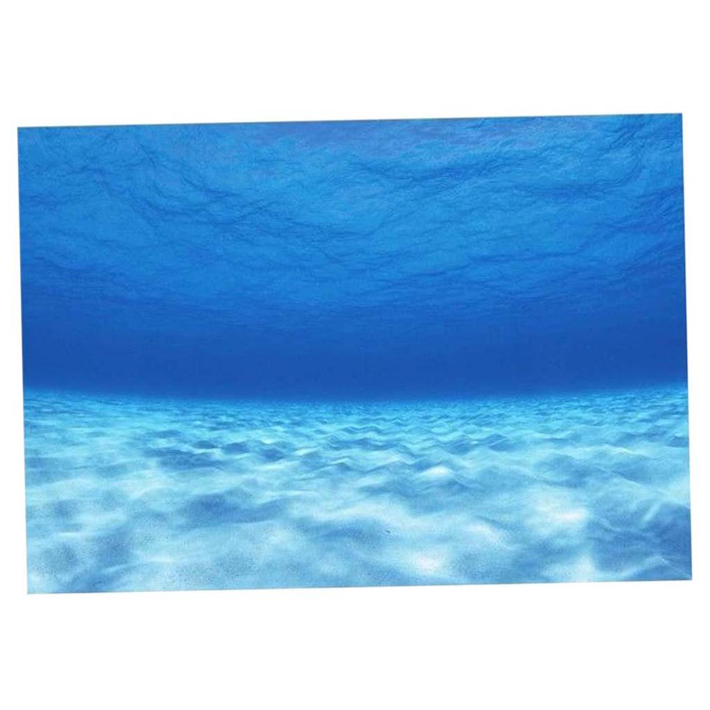 Side Decorative Aquarium Backg - Aquarium Fish World avis et prix