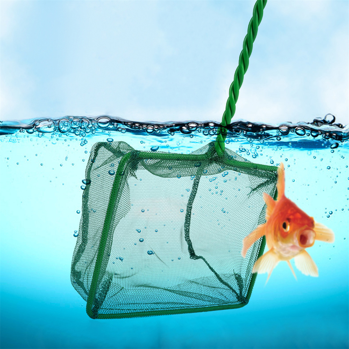 3~10 Inch Portable Nylon Green - Aquarium Fish Green avis et prix