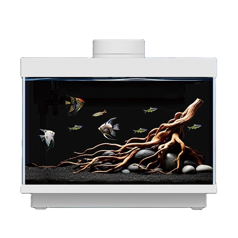 Multifunctional all-in-one 5W  - All Fish In Aquarium avis et prix