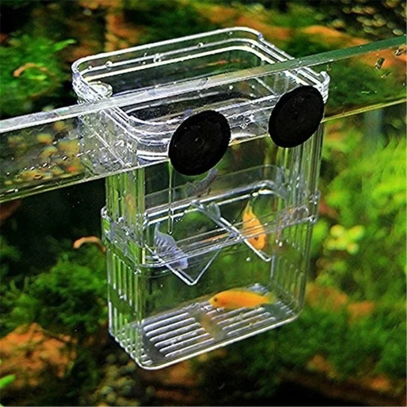 Multifunctional Fish Aquarium  - Aquarium Fish In Bowl avis et prix