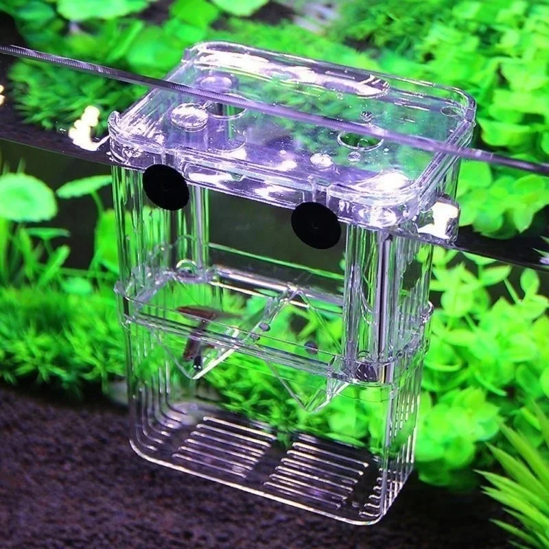 Multifunctional Fish Aquarium  - Aquarium Fish In Bowl avis et prix
