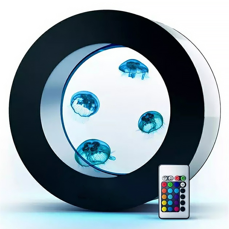 O-shaped Jellyfish Aquarium fo - All Fish In Aquarium avis et prix