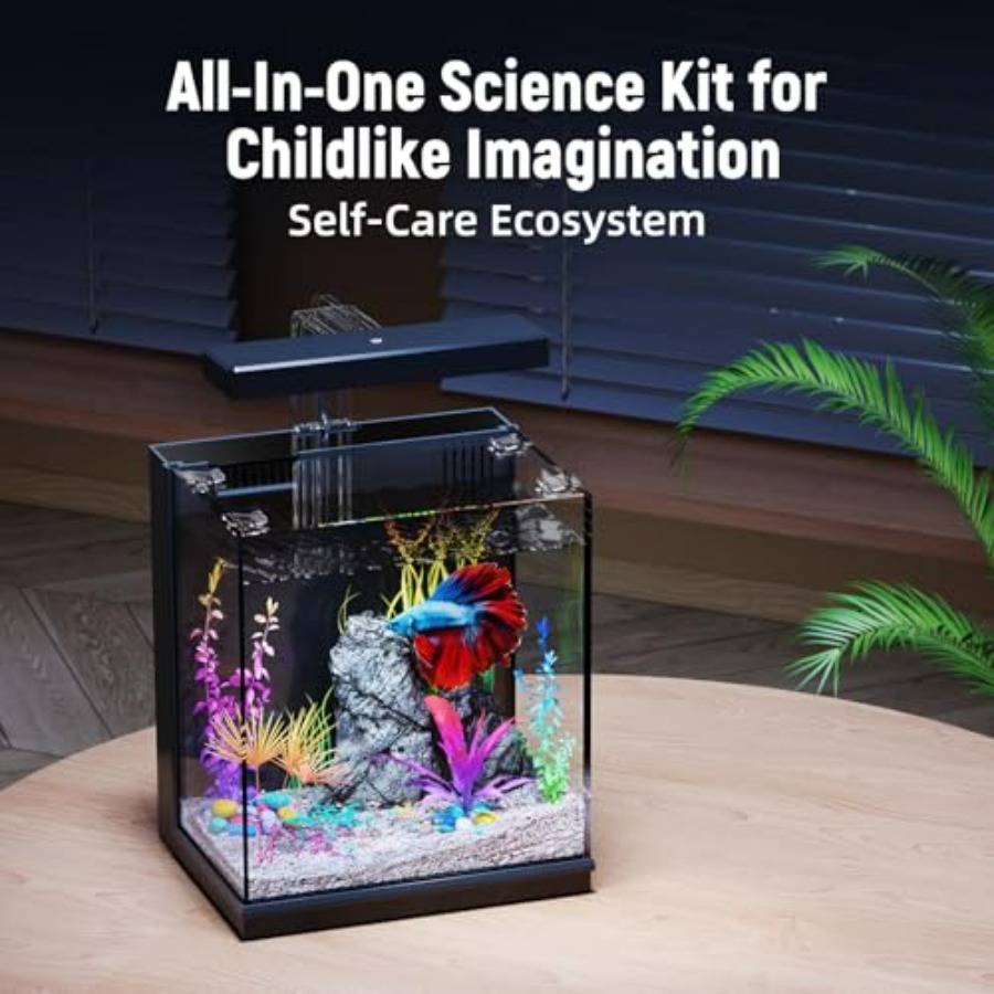 Betta Fish Tank, 2 Gallon All- - All Fish In Aquarium avis et prix