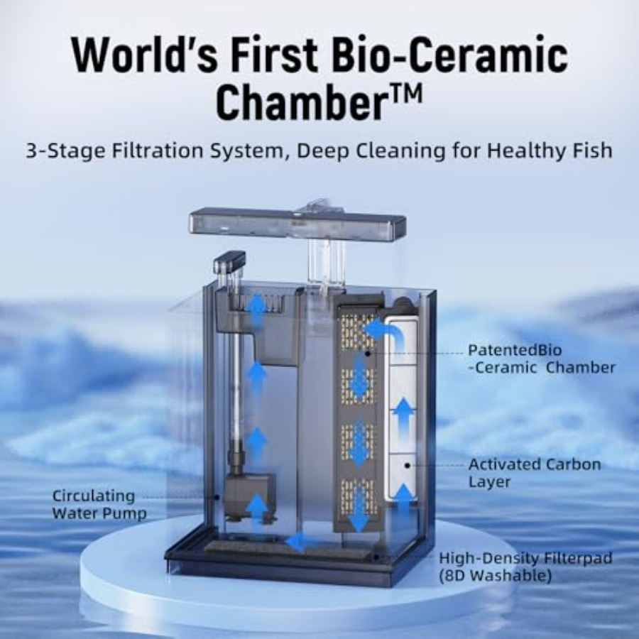 Betta Fish Tank, 2 Gallon All- - All Fish In Aquarium avis et prix