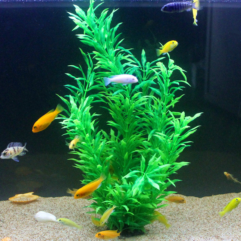 50CM Artificial Fish Tank Rare - Aquarium Fish Green avis et prix