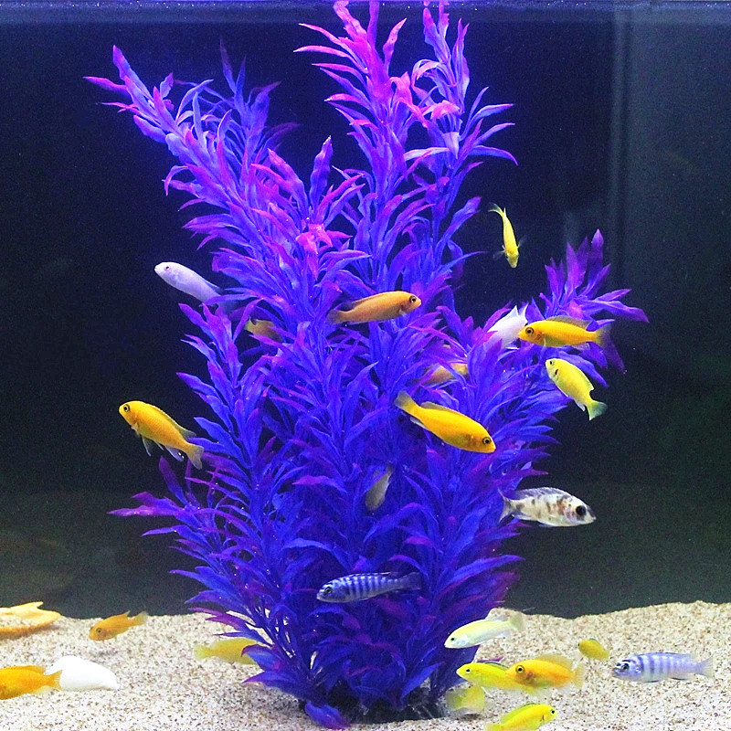 50CM Artificial Fish Tank Rare - Aquarium Fish Green avis et prix