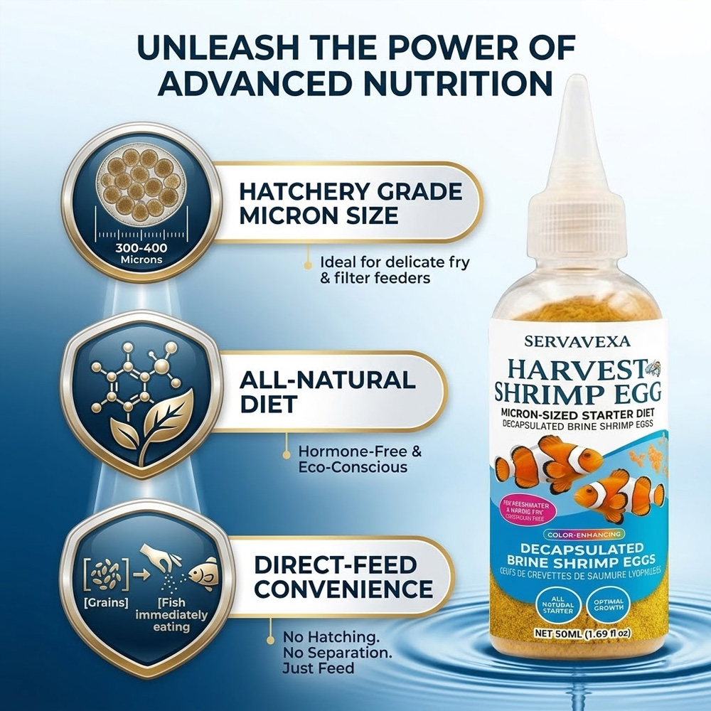 High Protein Fish Food for Bet - Aquarium Fish Price avis et prix