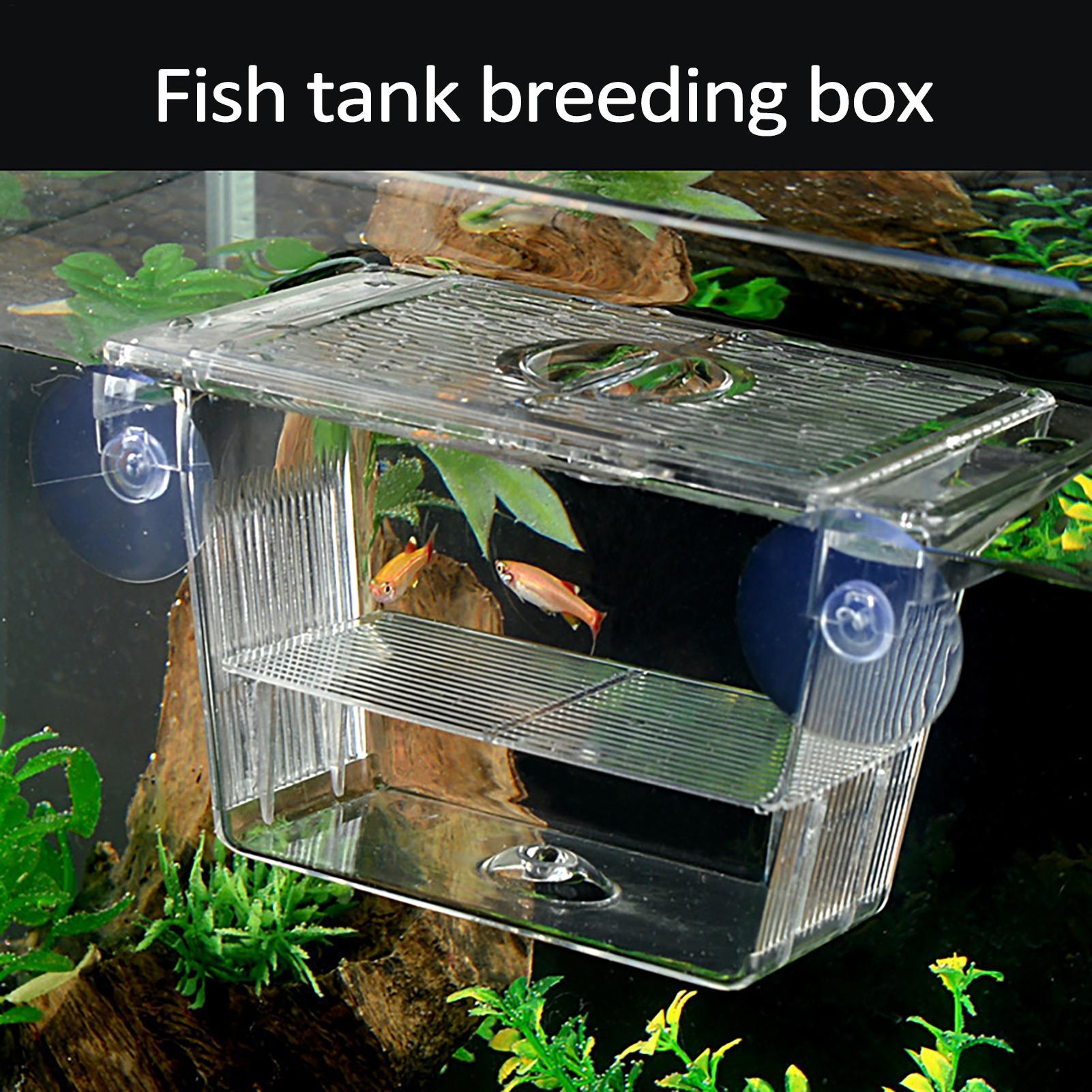 Breeder Box for Fish Tank Tran - Aquarium Fish In Bowl avis et prix