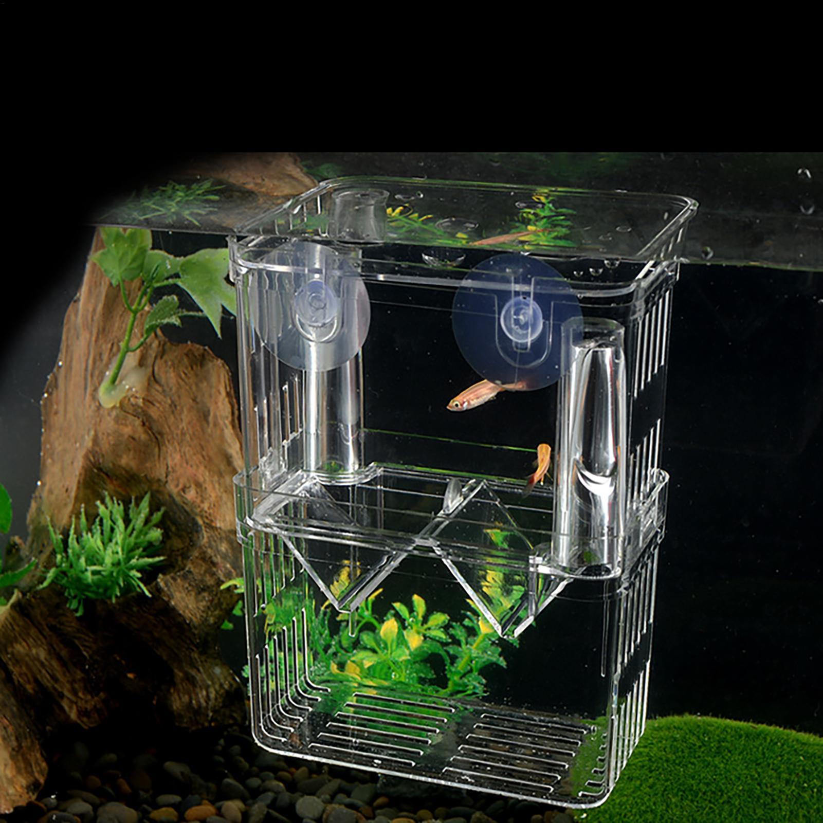 Breeder Box for Fish Tank Tran - Aquarium Fish In Bowl avis et prix
