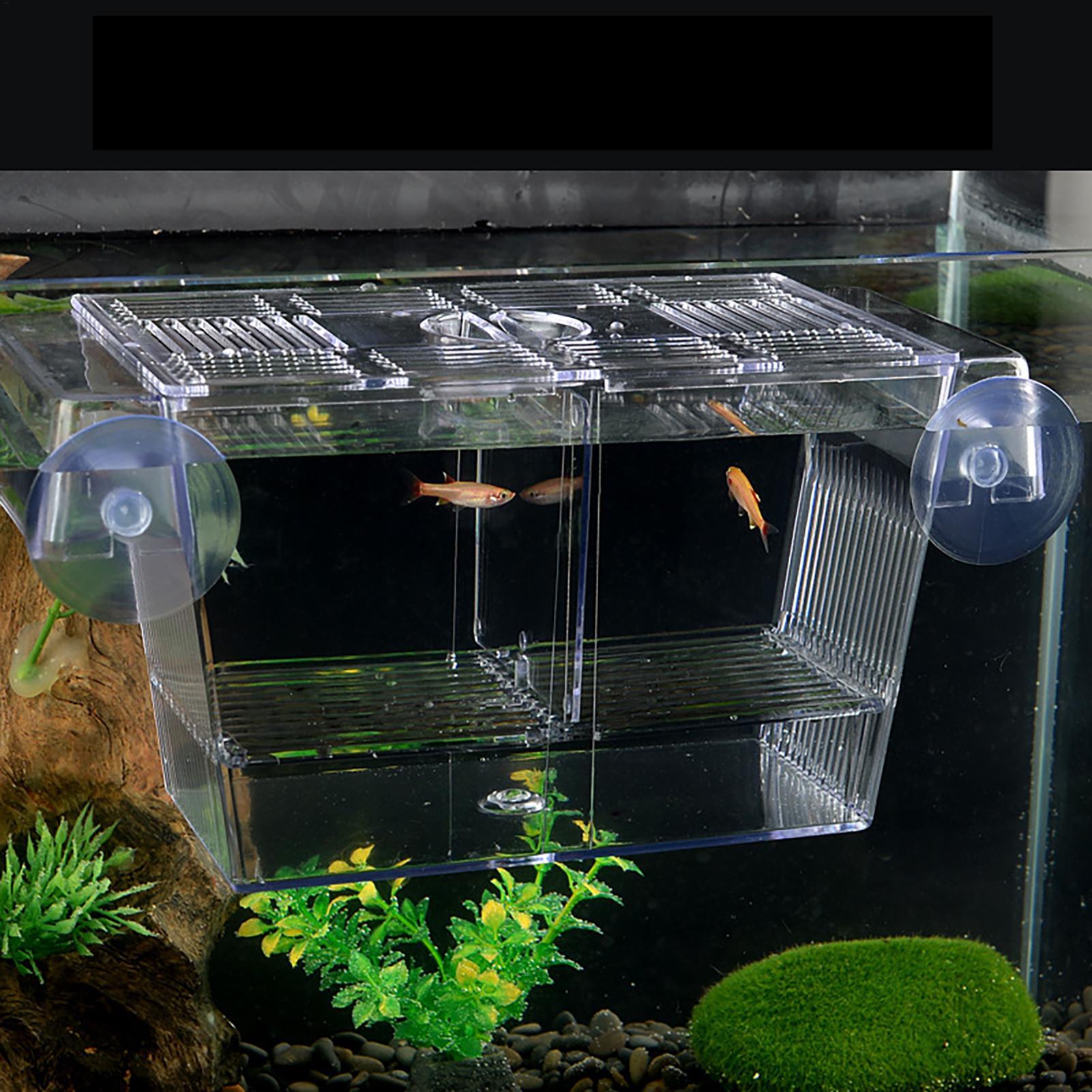 Breeder Box for Fish Tank Tran - Aquarium Fish In Bowl avis et prix
