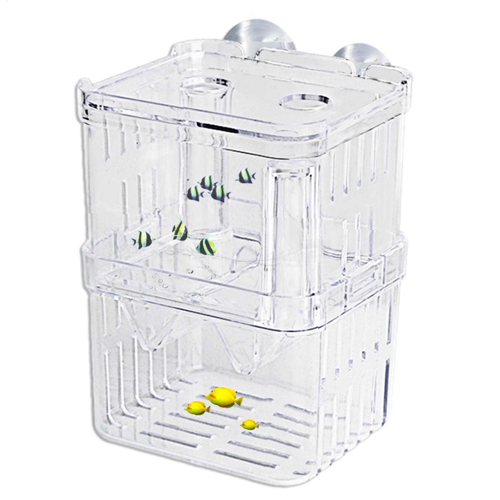 Breeder Box for Fish Tank Tran - Aquarium Fish In Bowl avis et prix