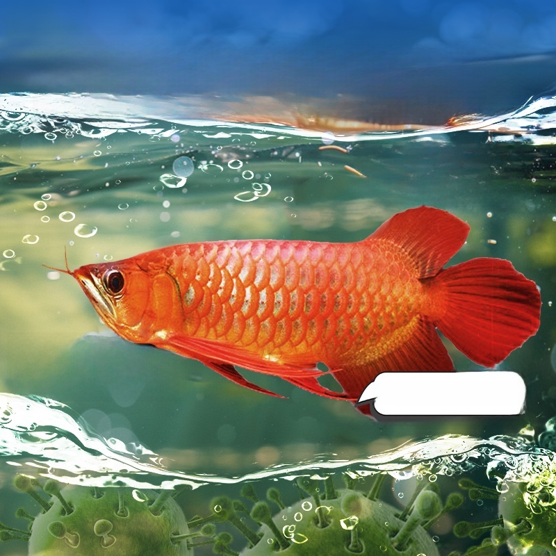 Advanced Water Purification Ta - Aquarium Fish Green avis et prix