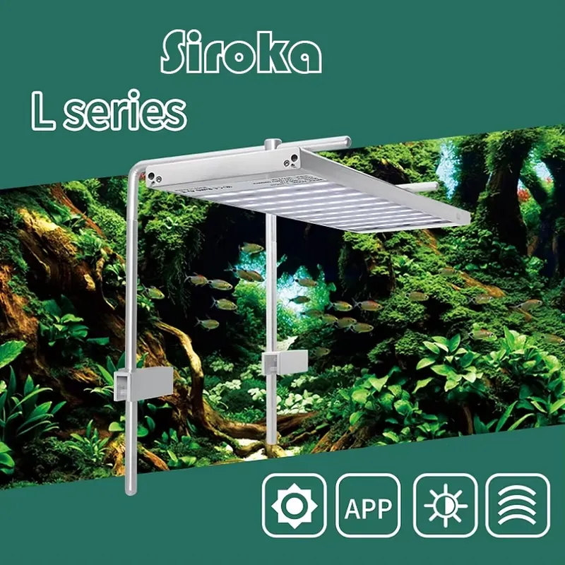 Hot Sale Silver 55W-110W Dimma - Aquarium Fish Sale avis et prix