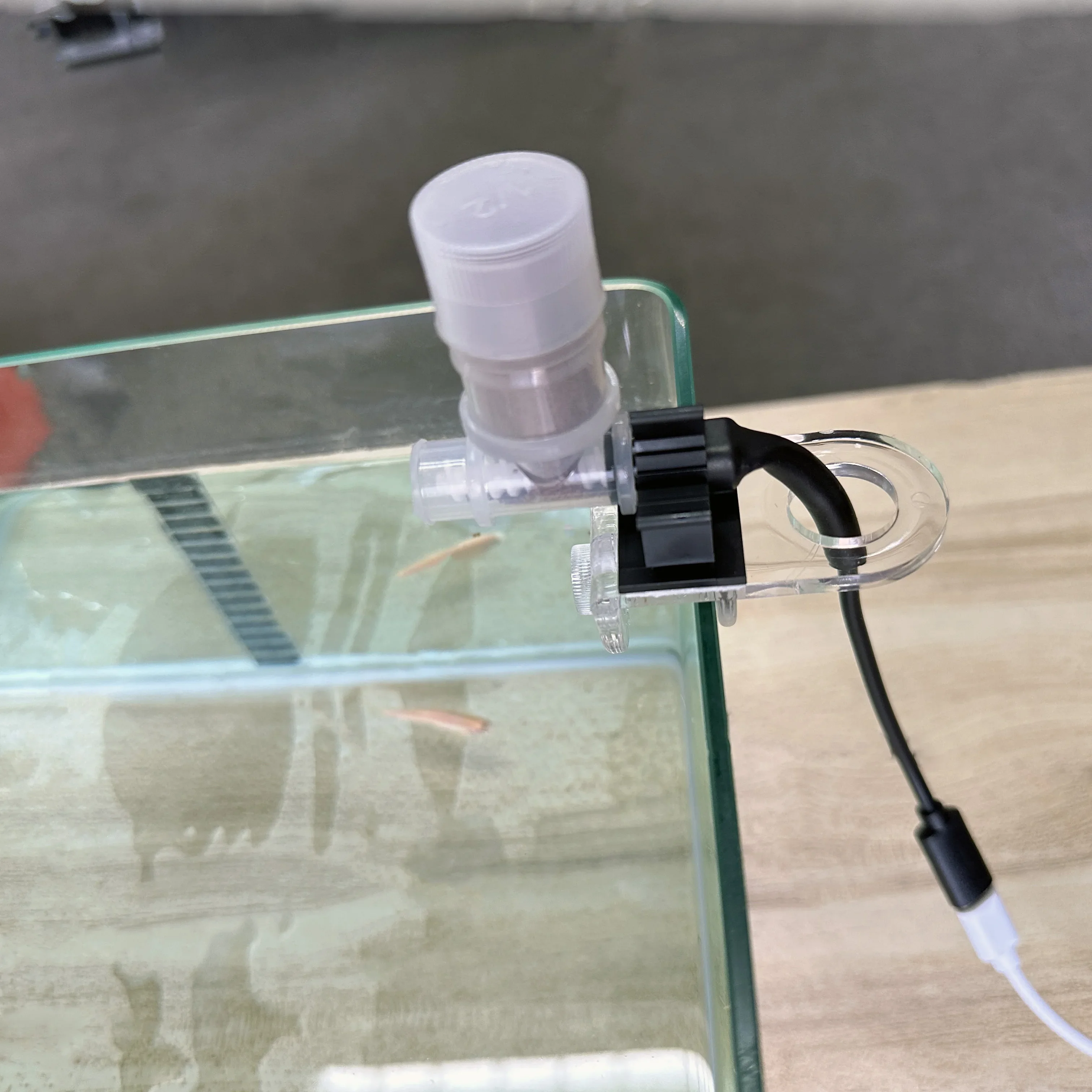 Best Automatic Fish Feeder - W - Aquarium Fish Price avis et prix