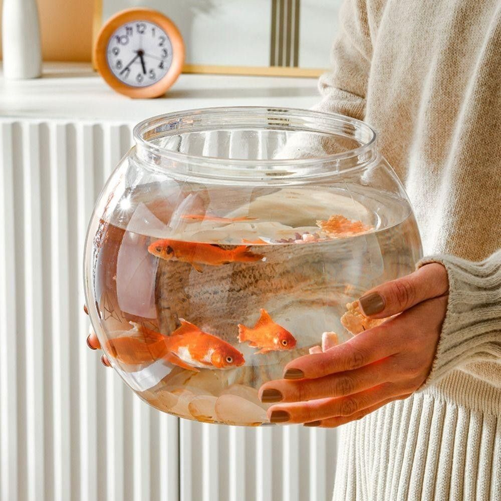 New Transparent Fish Tank Roun - Aquarium Fish In Bowl avis et prix