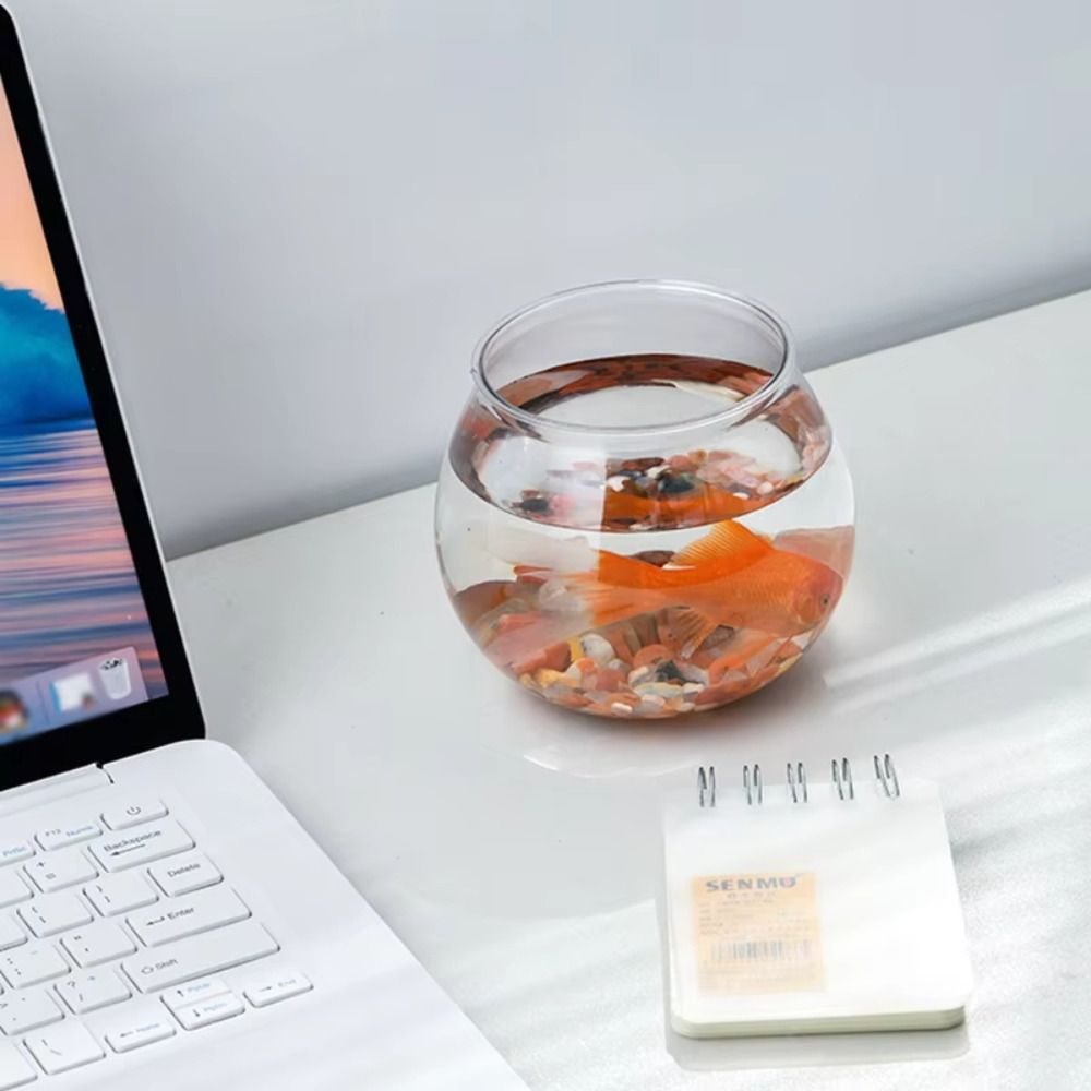 New Transparent Fish Tank Roun - Aquarium Fish In Bowl avis et prix