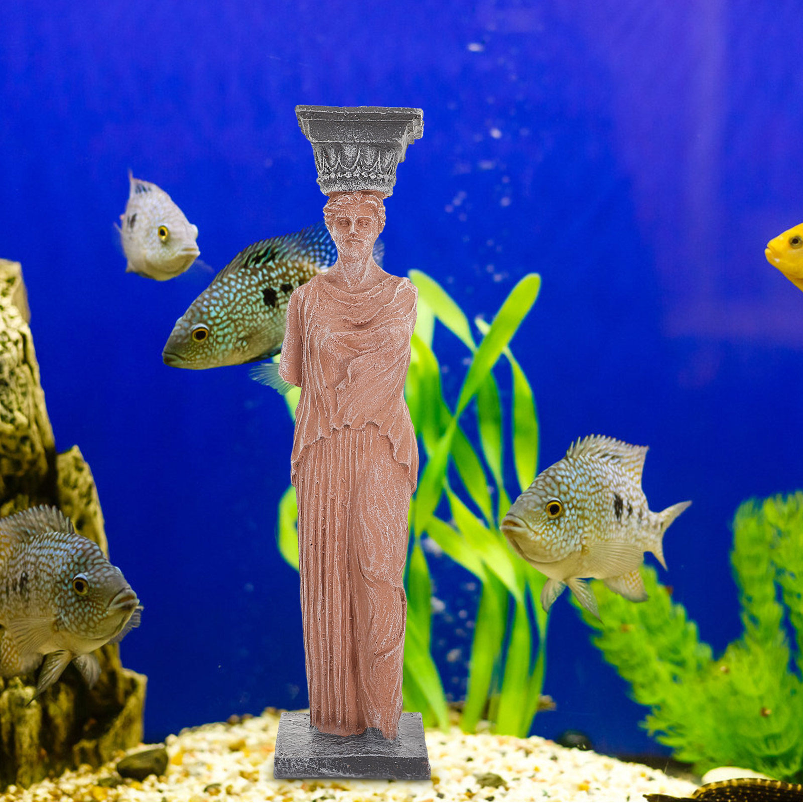 1Pcs Skull Theme Aquarium Deco - All Fish In Aquarium avis et prix